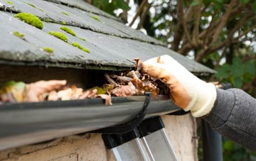 gutter cleaning High Stoop, County Durham